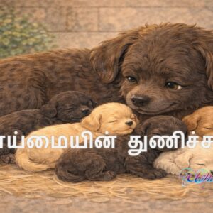 தாய்மையின் துணிச்சல்